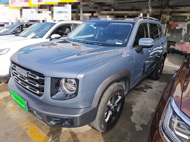 Haval Big Dog 2022 1.5T DCT FWD Border Collie Edition