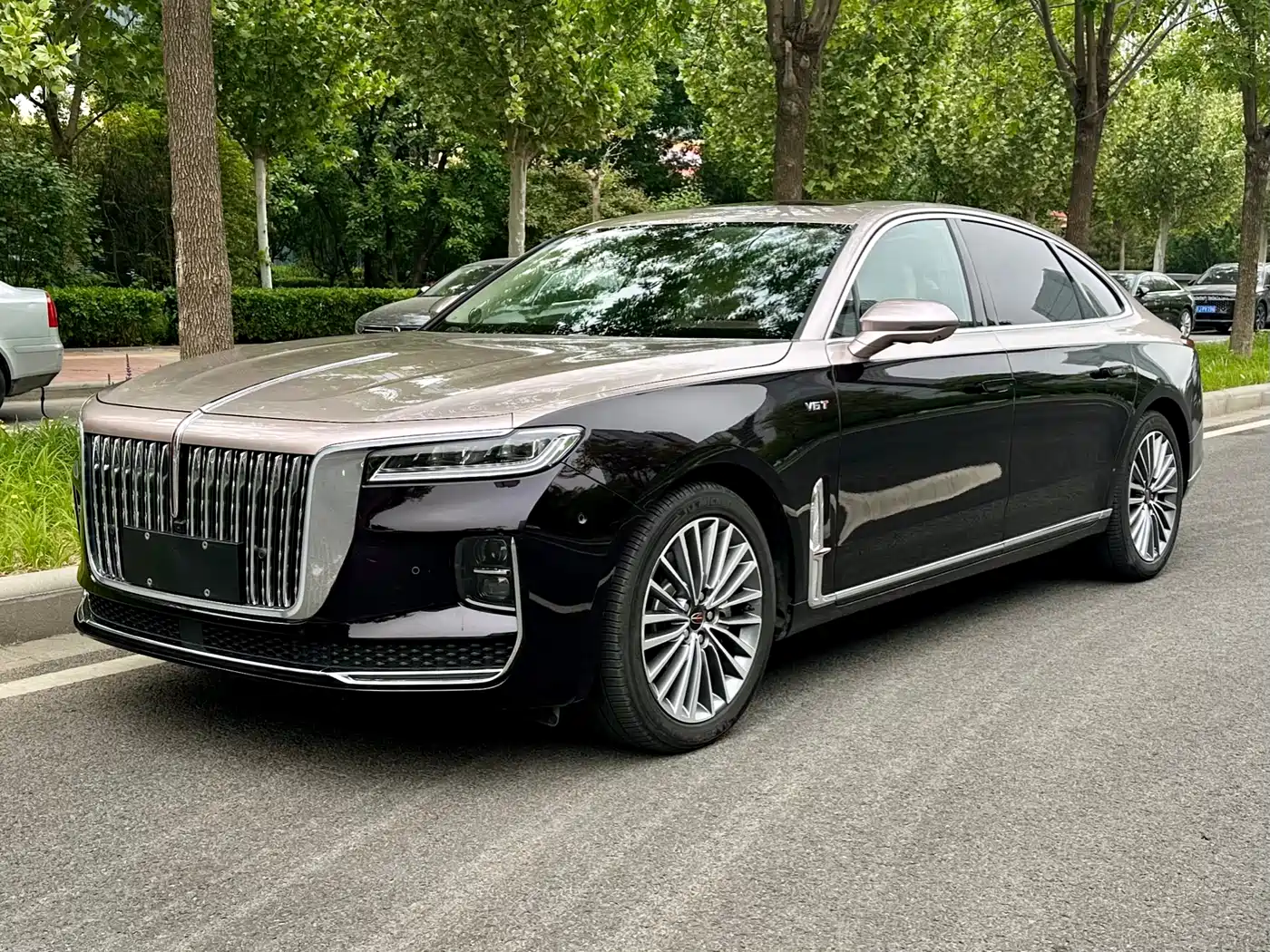 Hongqi H9 2020 3.0T Smart Connection Qi Chang Edition