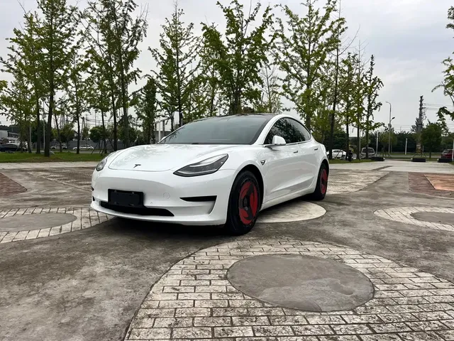 Tesla Model 3 2021 Facelift Standard Range RWD Upgrade 3D1