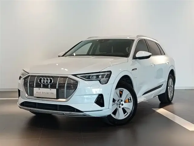 Audi e-tron (Import) 2019 55 quattro Fashion
