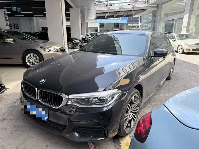 BMW 5 Series 2019 530Li Leading Luxury Package