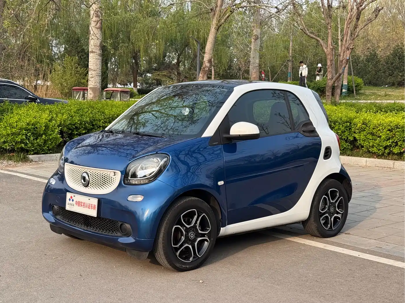 smart fortwo 2019 0.9T 66kW Hardtop Wind Edition China VI