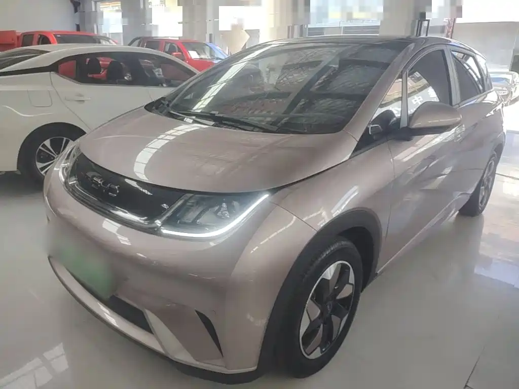 BYD Dolphin 2024 Glory Edition 420km Fashion Edition