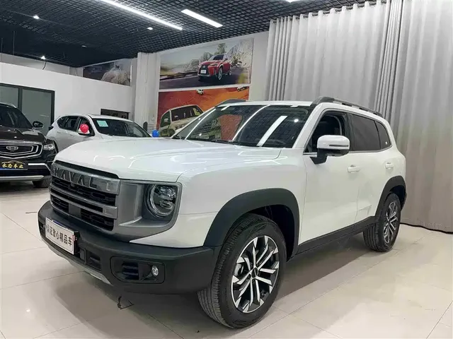 Haval Big Dog 2024 1.5T DCT Border Collie Edition