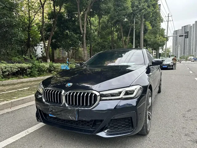 BMW 5 Series 2022 530Li Leading Luxury Package
