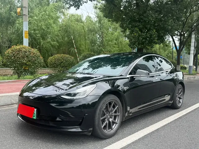 Tesla Model 3 2020 Standard Range Rear-Wheel Drive Upgrade