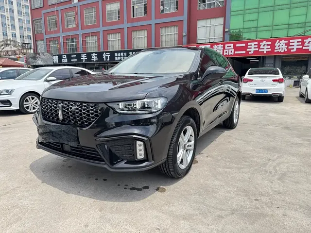 WEY VV5 2020 1.5T 2WD Style Pioneer