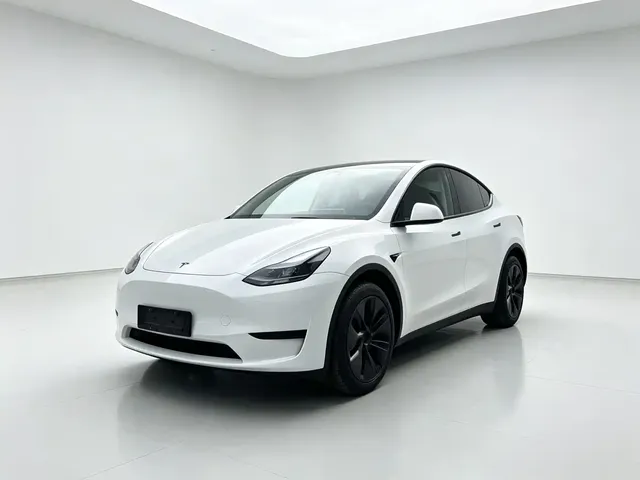 Tesla Model Y 2024 Rear-Wheel Drive Version