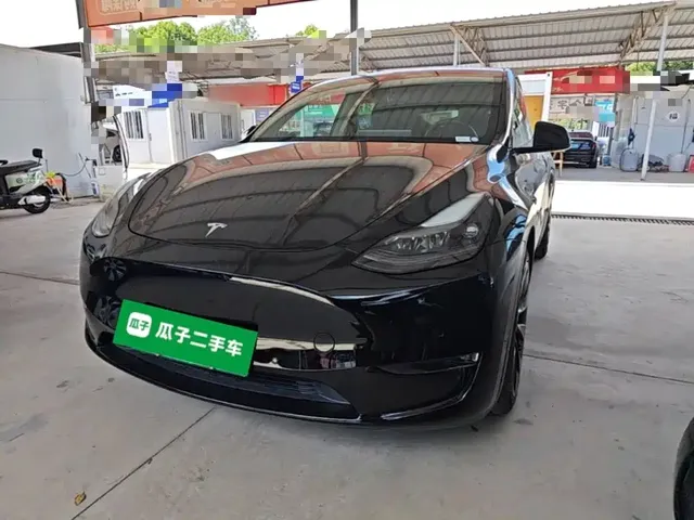 Tesla Model Y 2021 Standard Range Rear-Wheel Drive