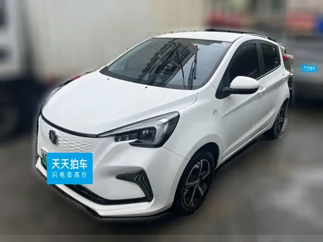 Changan Benben E-Star 2020 Heartjoy Edition NCM