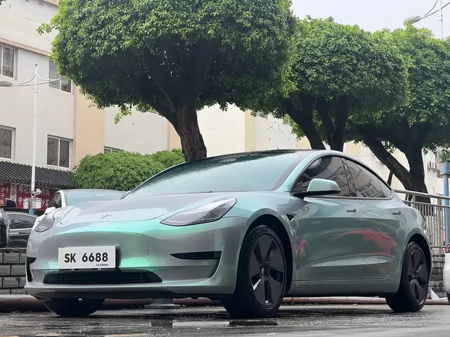 Tesla Model 3 2022 Model Rear-Wheel Drive Version