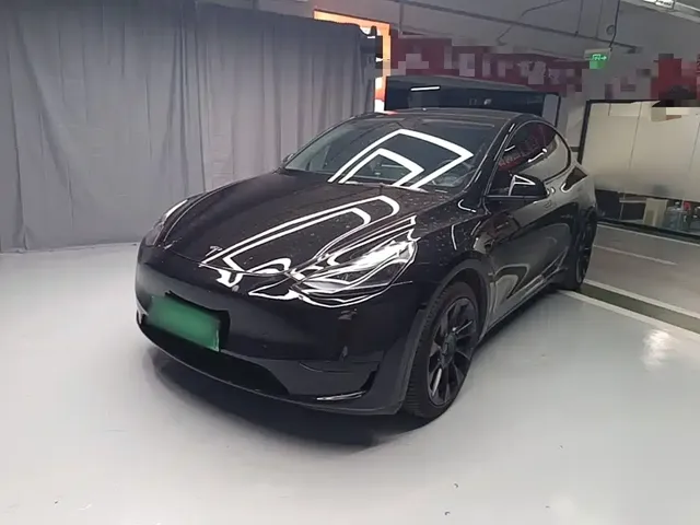 Tesla Model Y 2022 Rear-Wheel Drive Version
