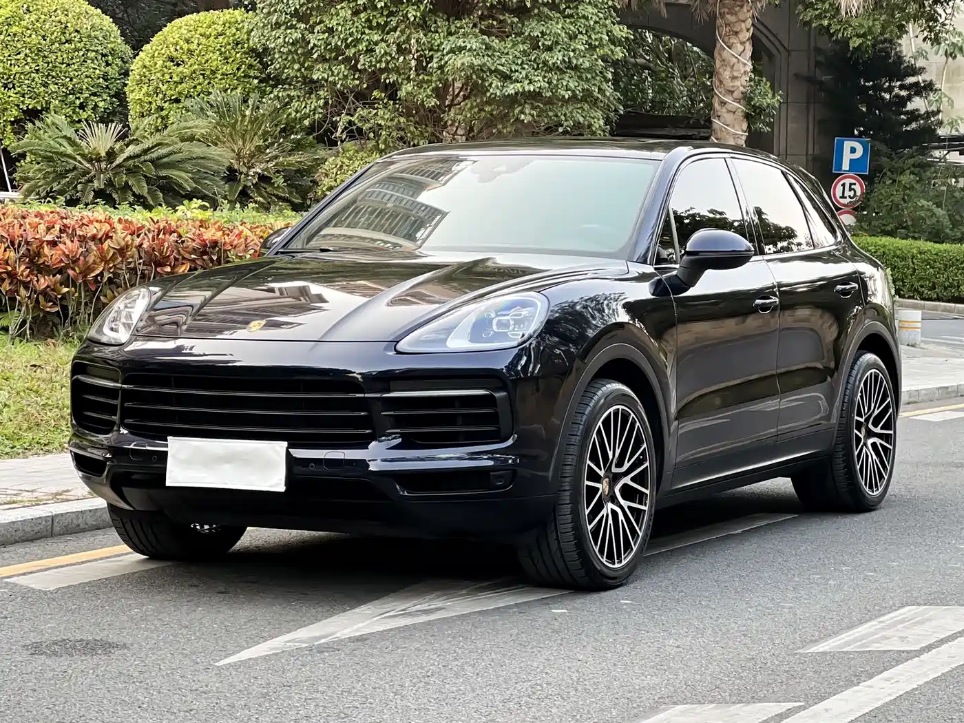 Porsche Cayenne 2019 Cayenne 3.0T