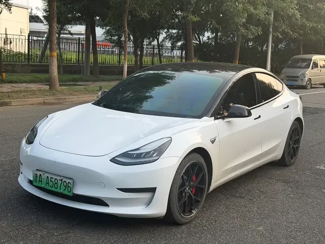Tesla Model 3 (Import) 2019 Performance High-Efficiency All-Wheel Drive Version