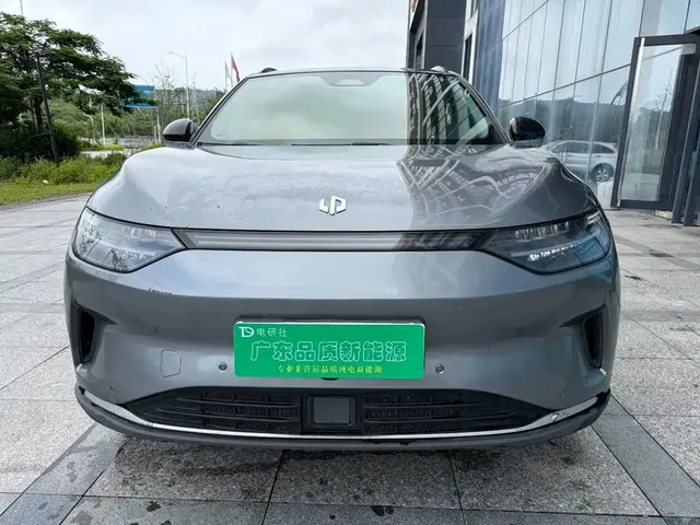 Leapmotor C11 2021 Executive Edition 610