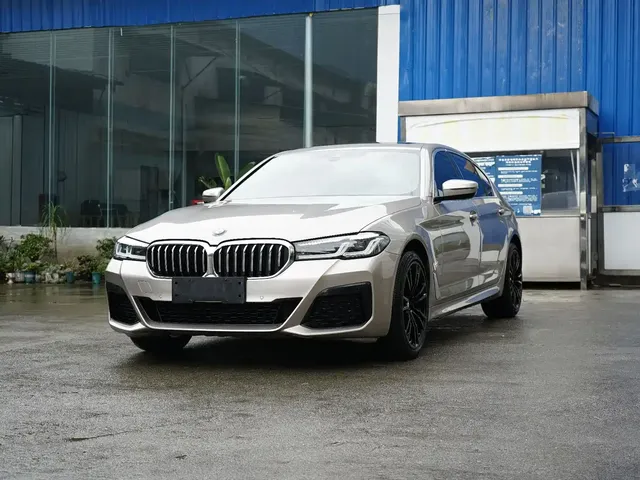 BMW 5 Series 2021 530Li Leading M Sport Package