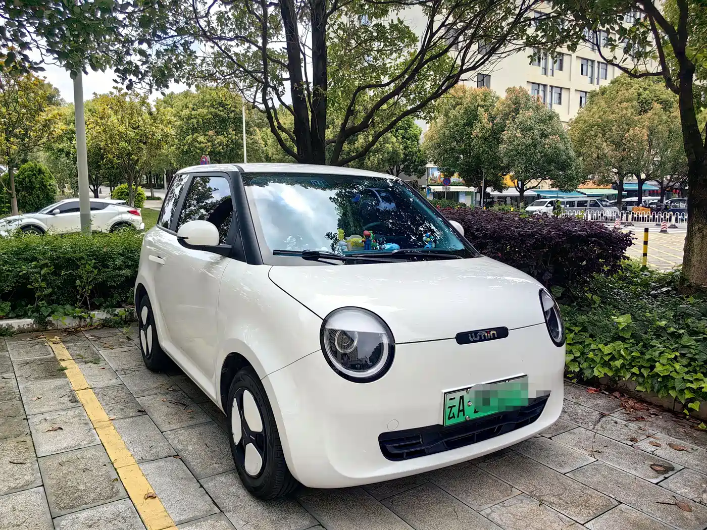 Changan Qiyuan Changan Lumin 2022 210km Sweet Edition