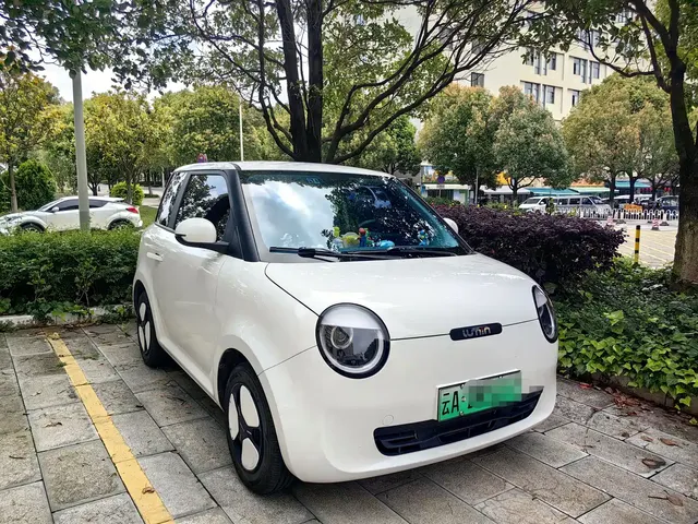 Changan Qiyuan Changan Lumin 2022 210km Sweet Edition
