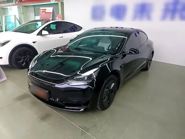 Tesla Model 3 2021 Standard Range Rear-Wheel Drive Upgrade