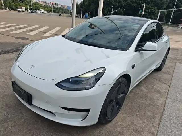 Tesla Model 3 2021 Standard Range Rear-Wheel Drive Upgrade 3D6