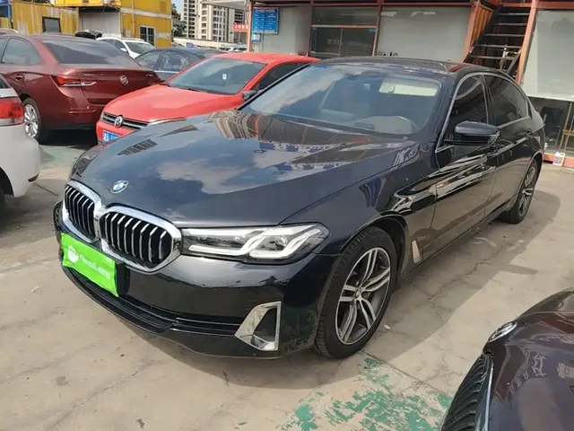 BMW 5 Series 2021 530Li Leading Luxury Package