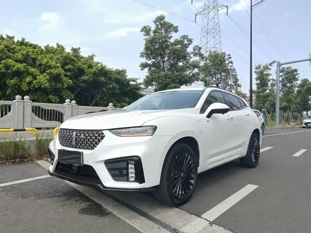 WEY VV7 New Energy 2020 PHEV 2.0T Flagship Model
