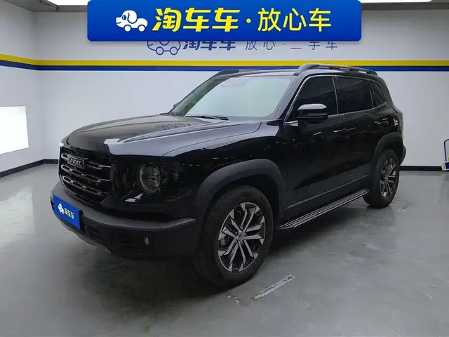 Haval Big Dog 2024 1.5T DCT Border Collie Edition