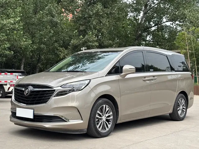 Buick GL8 2022 ES Landmark 653T Premium