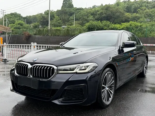 BMW 5 Series 2021 530Li Leading M Sport Package