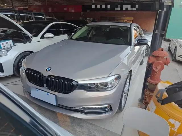 BMW 5 Series 2018 530Li Leading Luxury Package