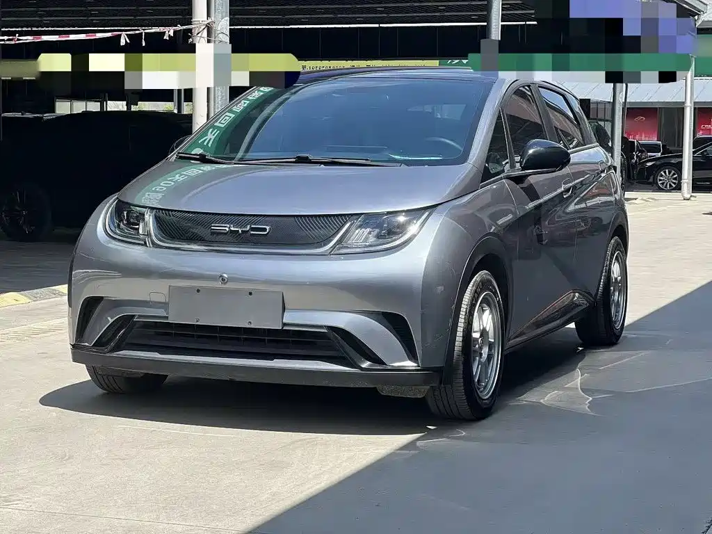 BYD Dolphin 2021 Model 405km Fashion Edition