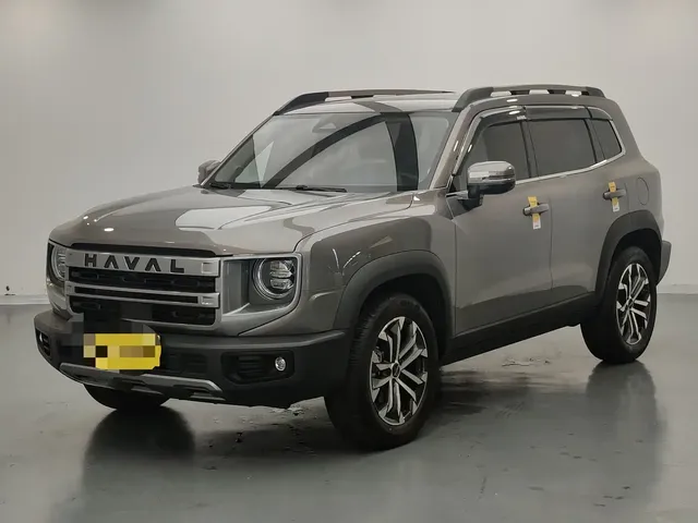 Haval Big Dog 2024 1.5T DCT Border Collie Edition