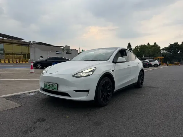 Tesla Model Y 2022 Rear-Wheel Drive Version