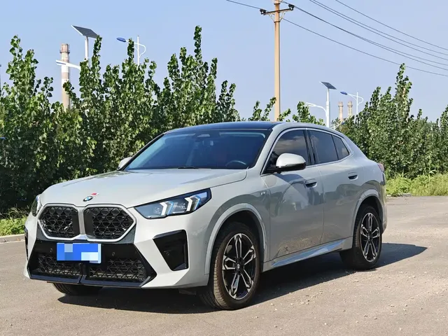 BMW X2 (Import) 2024 sDrive25i M Sport Package