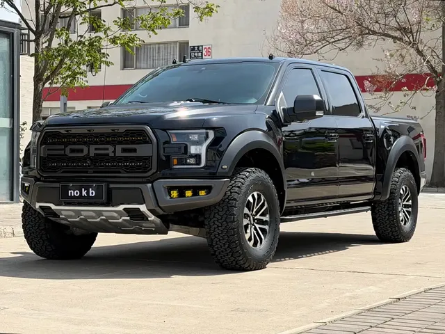 Ford F-150 Raptor 2019 3.5T Raptor Performance Enhanced Edition