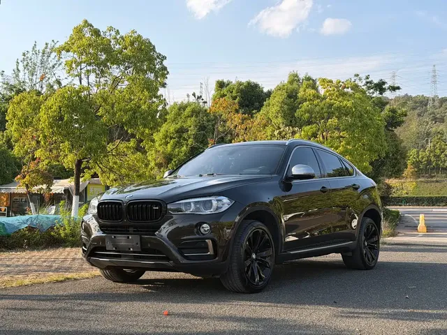 BMW X6 2017 xDrive35i Leading