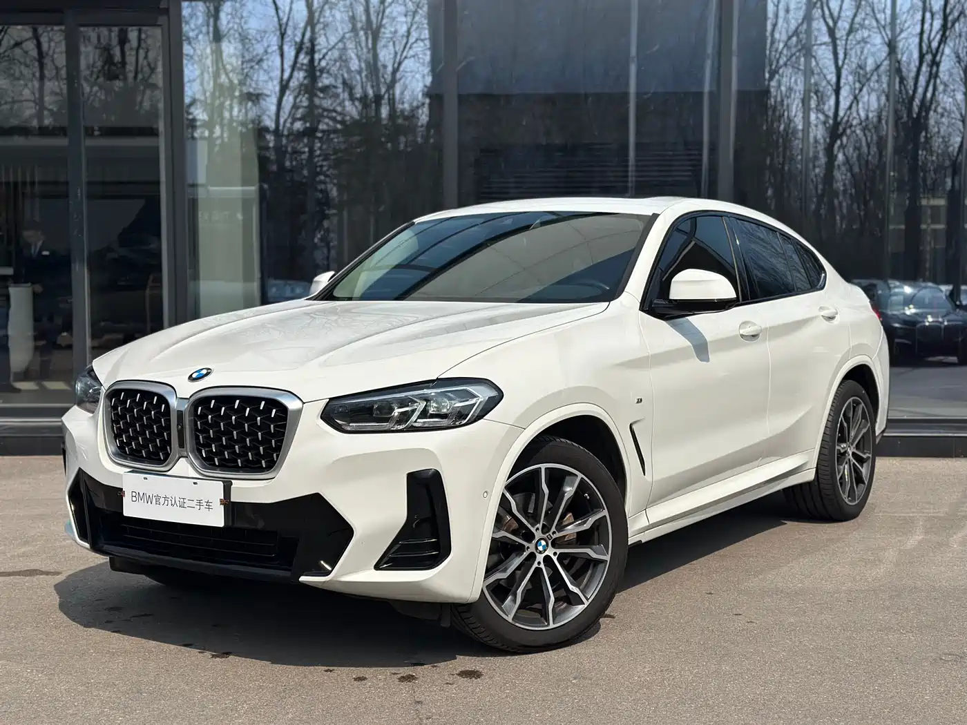 BMW X4 2022 xDrive 30i M Sport Package