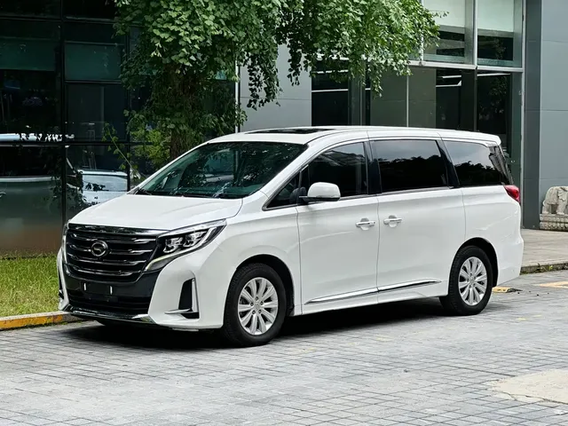 GAC Trumpchi M8 2020 Pilot 390T Premium Edition