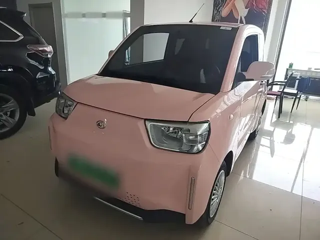BAW (Beijing Automobile Works) Yuanbao 2023 Comfort Edition