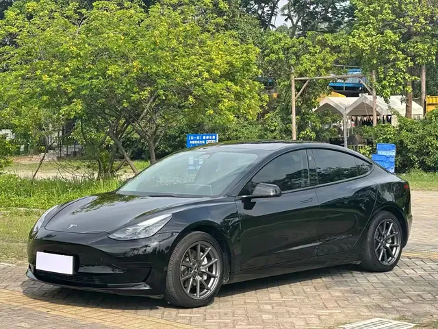 Tesla Model 3 2021 Standard Range Rear-Wheel Drive Upgrade