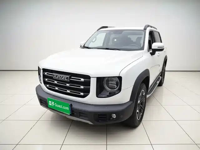 Haval Big Dog 2021 2.0T DCT 4WD Chinese Rural Dog Edition