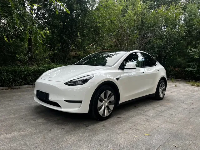 Tesla Model Y 2021 Standard Range Rear-Wheel Drive