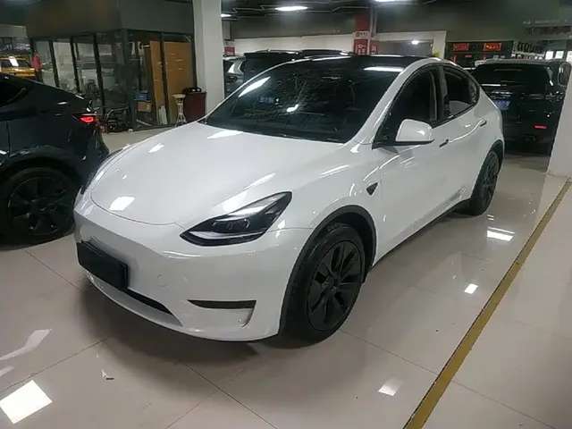 Tesla Model Y 2024 Rear-Wheel Drive Version