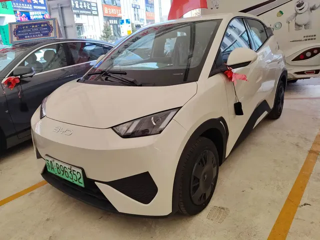 BYD Seagull 2025 Smart Drive Edition 305km Vitality Version