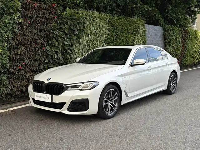 BMW 5 Series New Energy 2021 535Le Pioneer Edition M Sport Package
