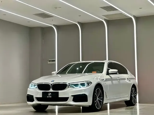 BMW 5 Series 2020 530Li Exclusive M Sport Package