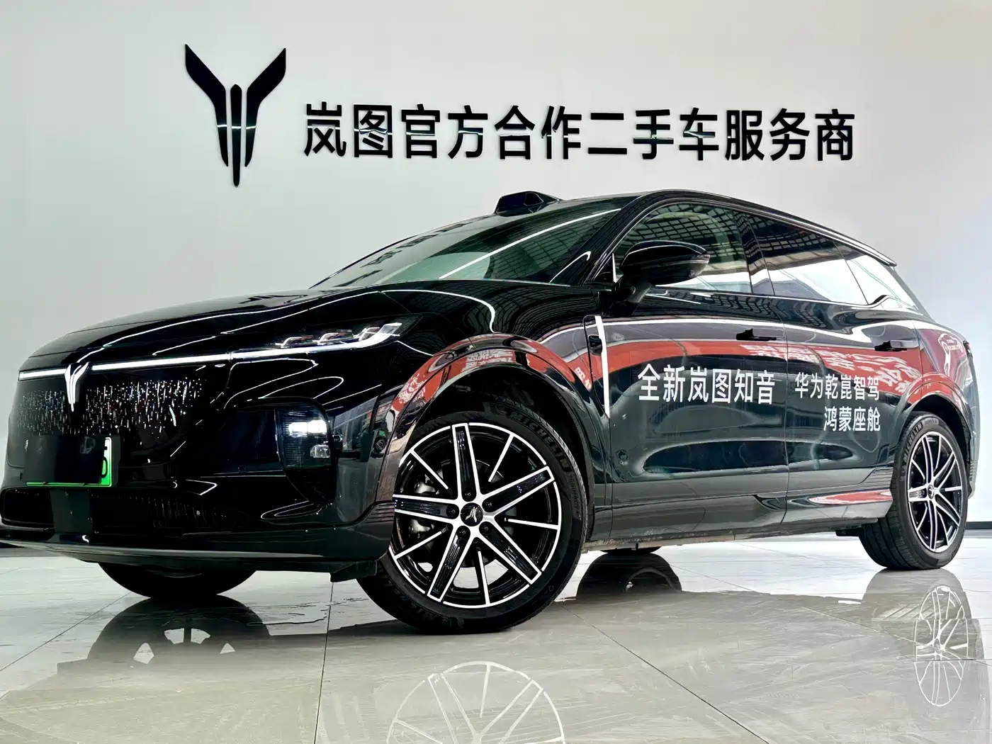 Voyah Auto Voyah Zhiyin 2025 Base
