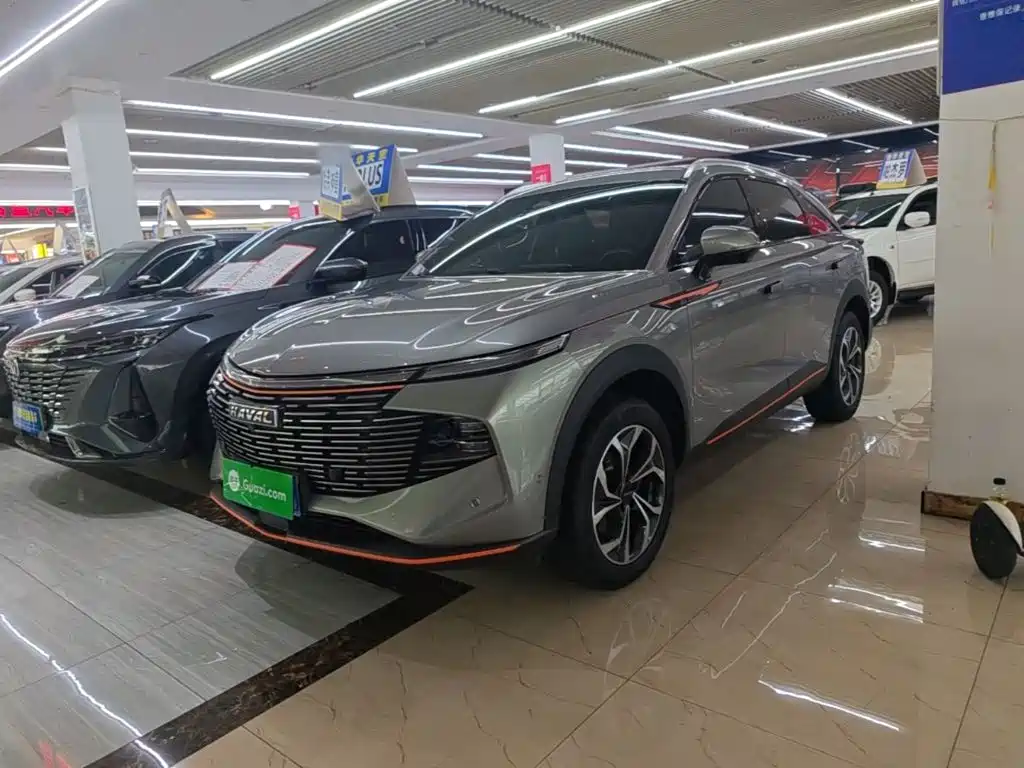 Haval Shenshou 2022 1.5T Intelligent Premium Edition