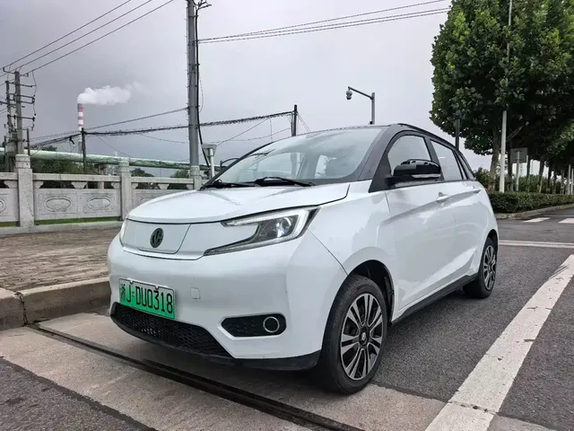Electric House YOUNG Guang Xiaoxin 2021 Model S400 5-seater