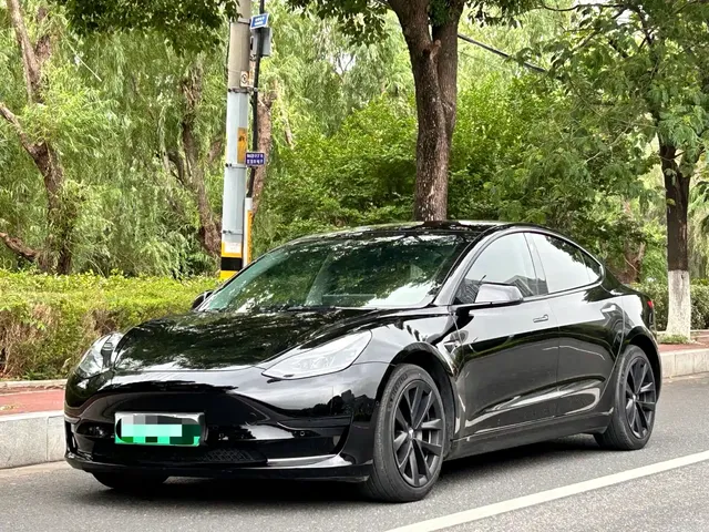 Tesla Model 3 2022 Model Rear-Wheel Drive Version